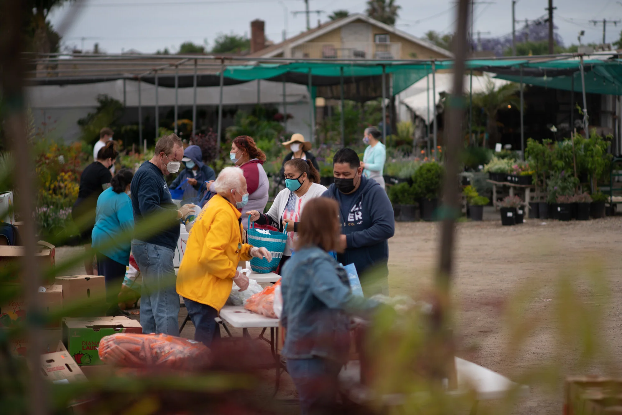 Neighbors collecting produce at a Puente food distribution
